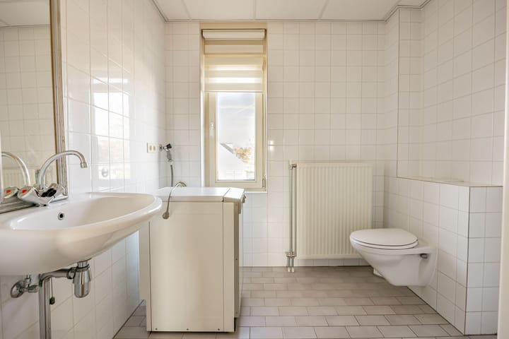 Foto 32 van Dorsvlegel 101