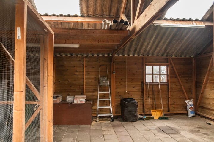 Foto 30 van Runde NZ 79