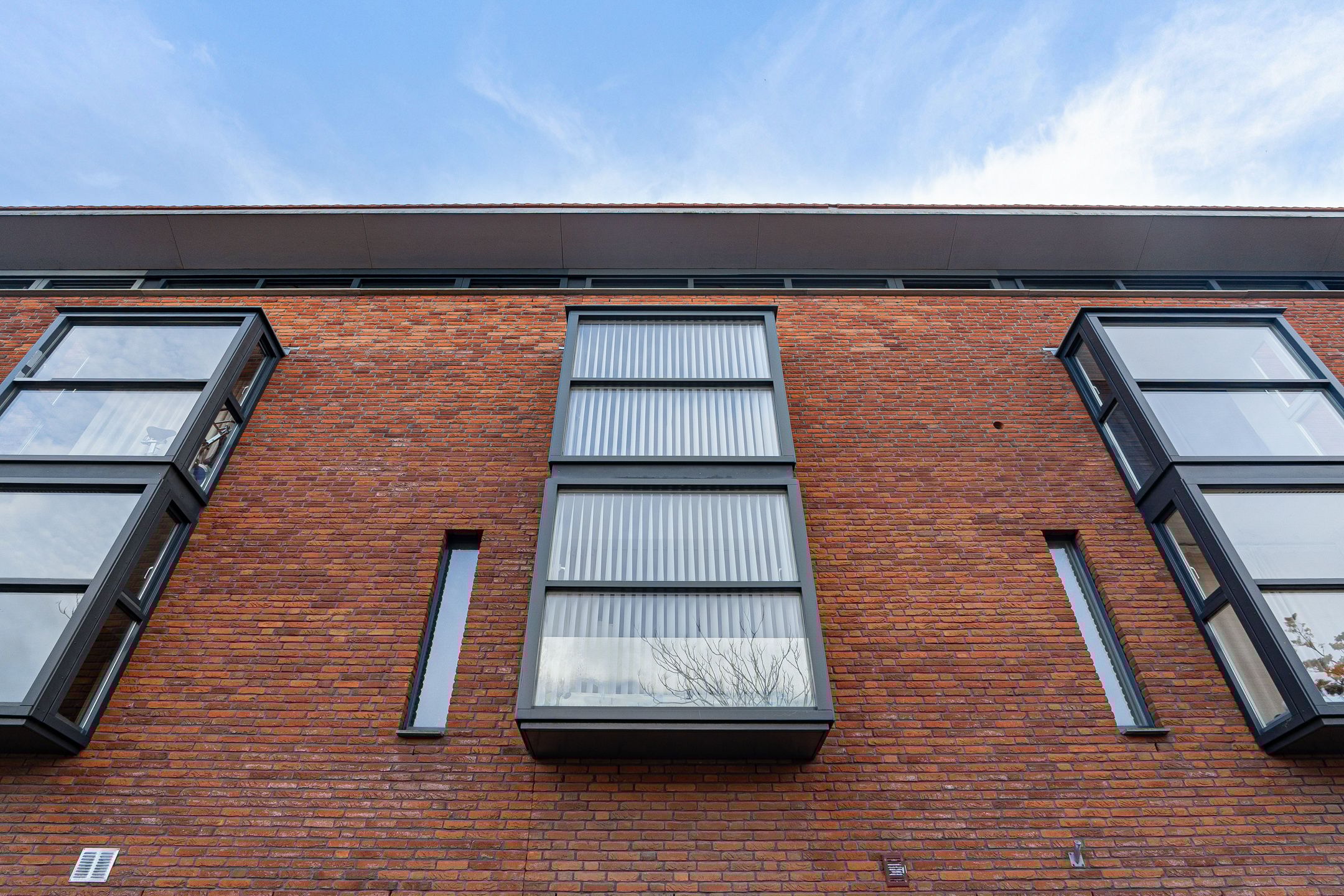 Foto 9 van Plesmanlaan 100