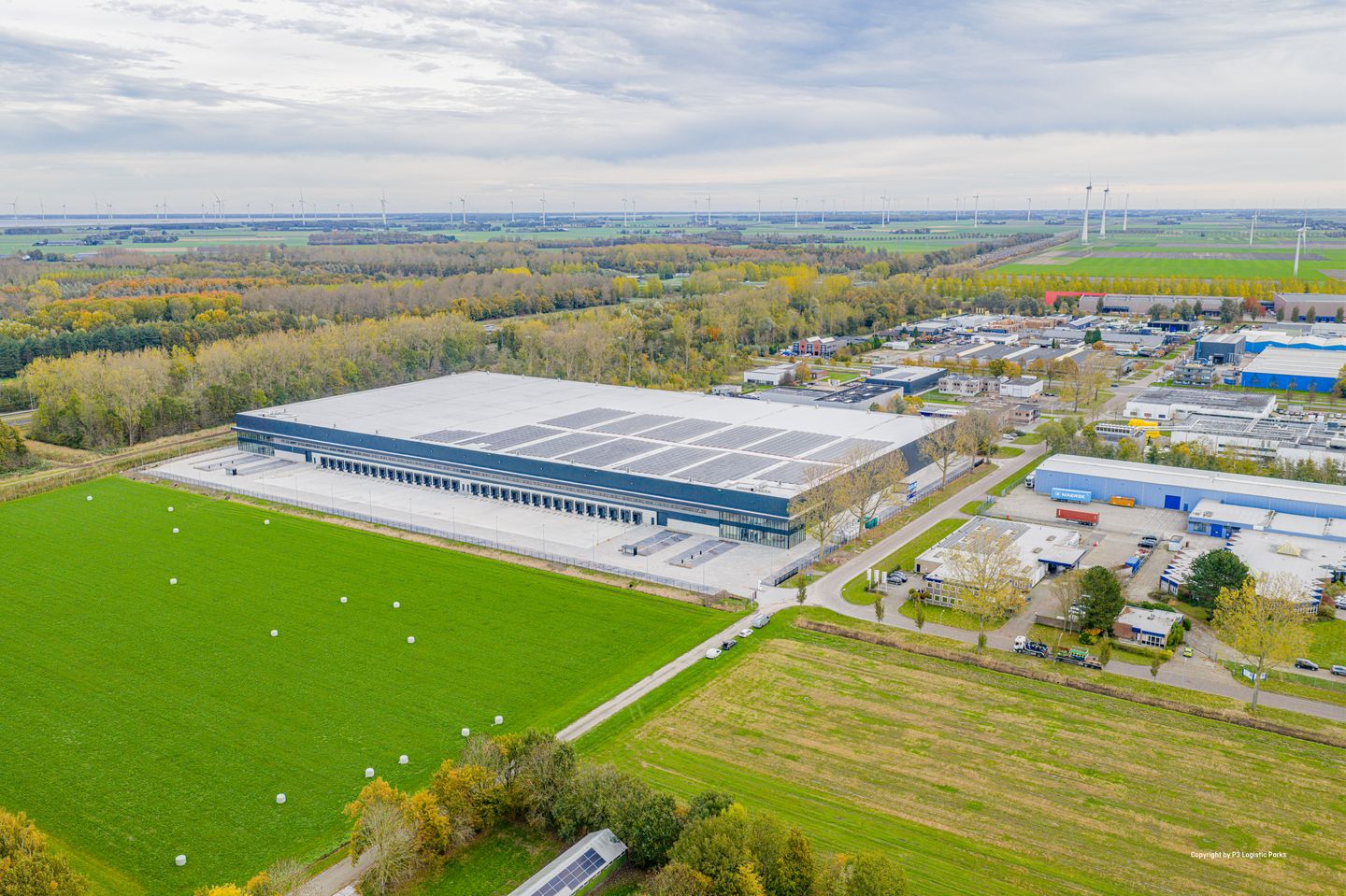 Bekijk foto 2 van Platinastraat