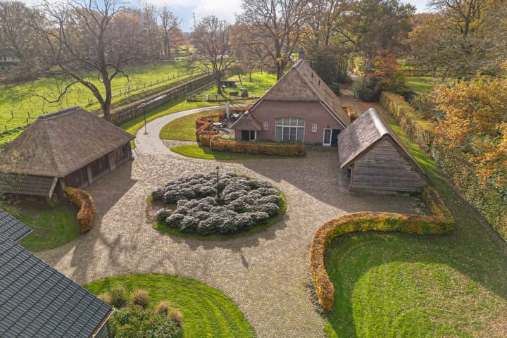 Middendorp 24 main image