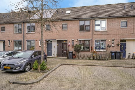 undefined main image