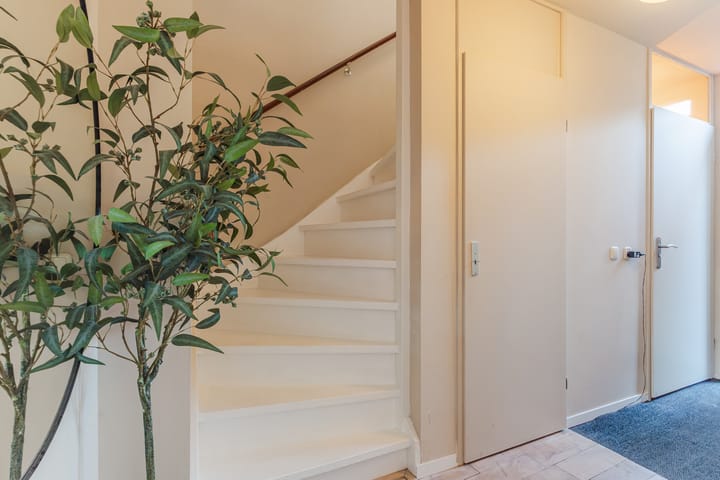 Foto 9 van Dikkertje Dap 90