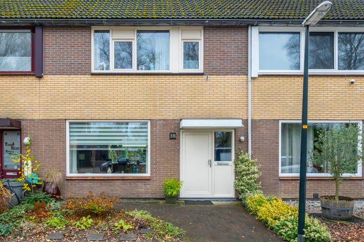 Malrove 38 main image