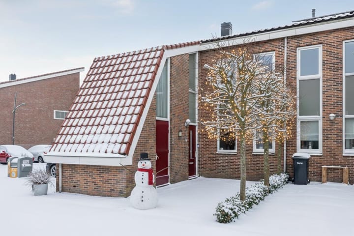 Photo 1 of IJsbloem 27