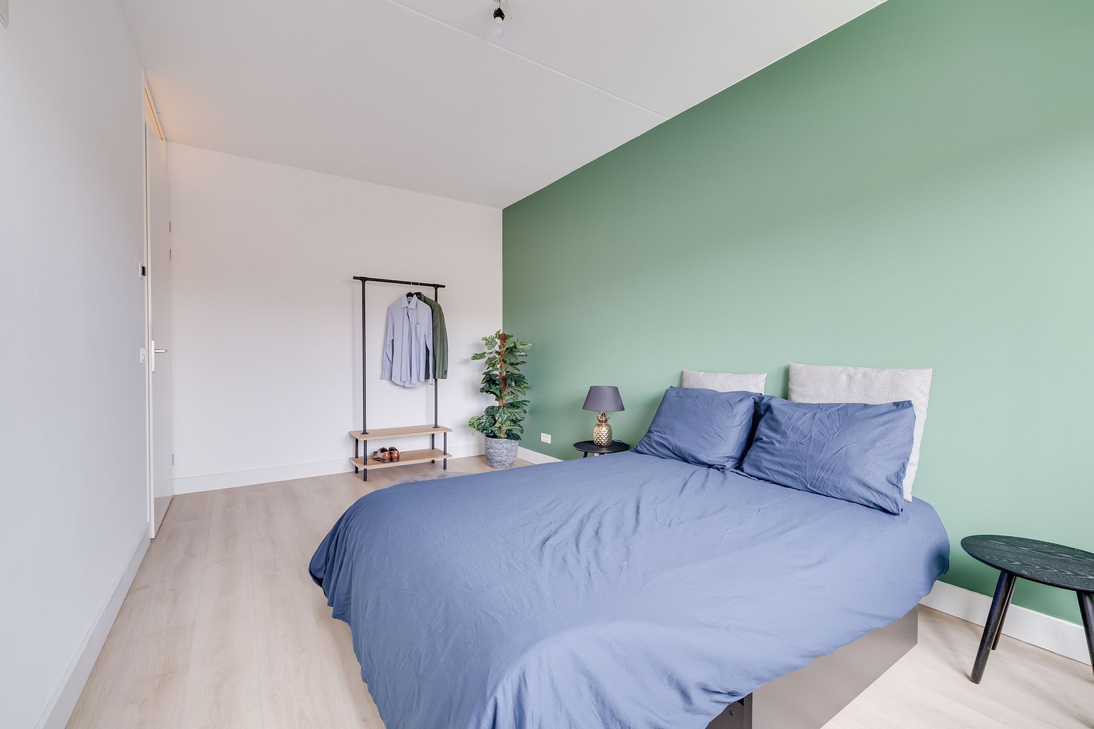 Foto 21 van Fluitenkruid 6