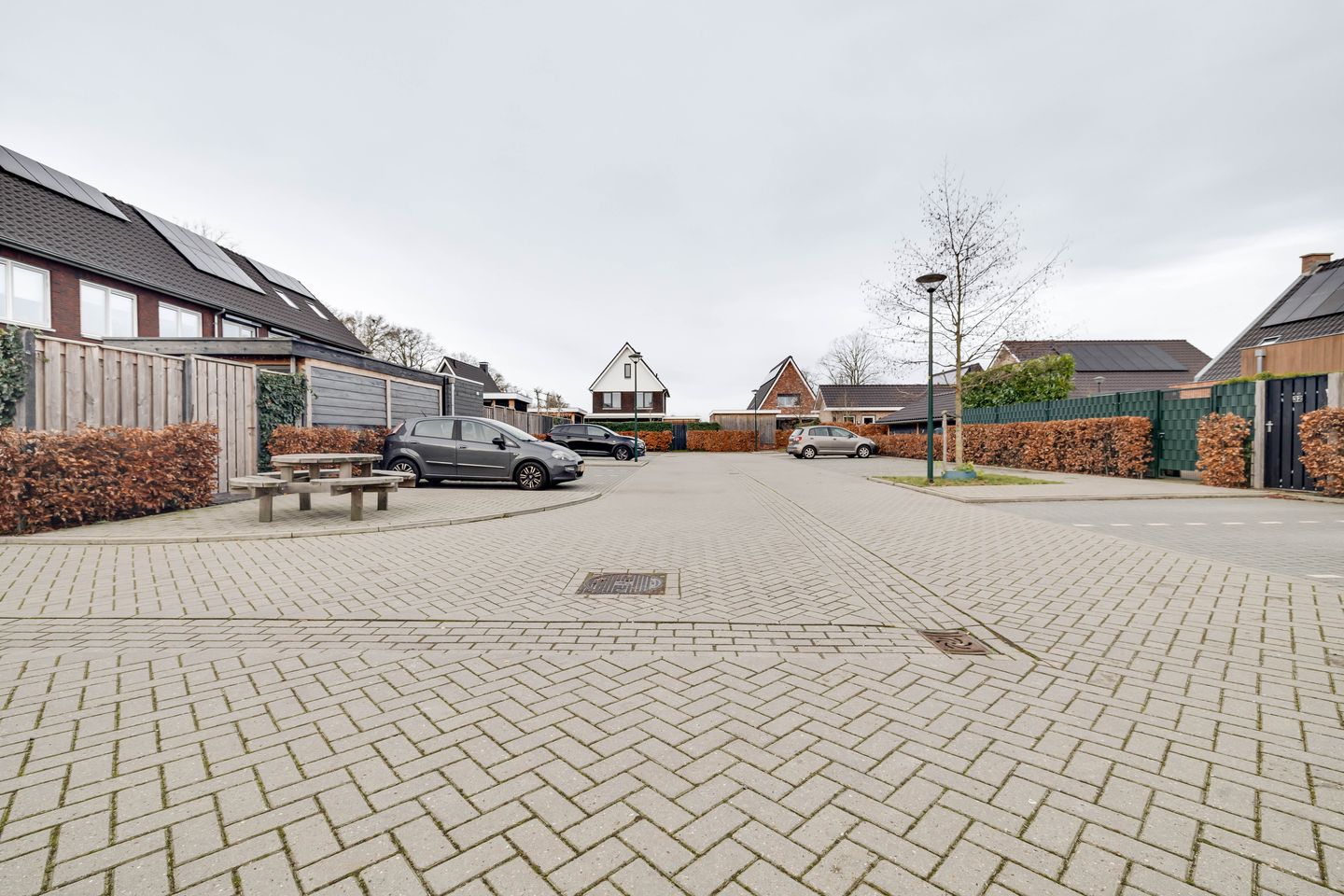 Foto 40 van Fluitenkruid 6