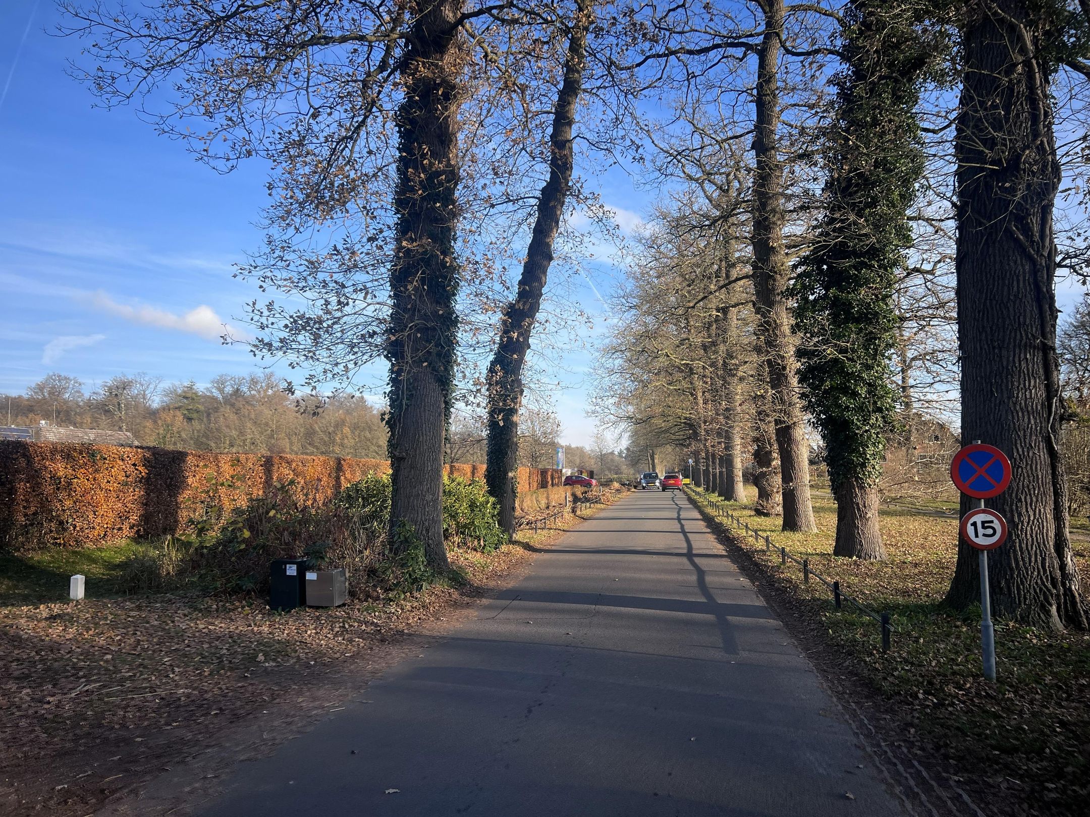 Foto 42 van Bernard van Beeklaan 99