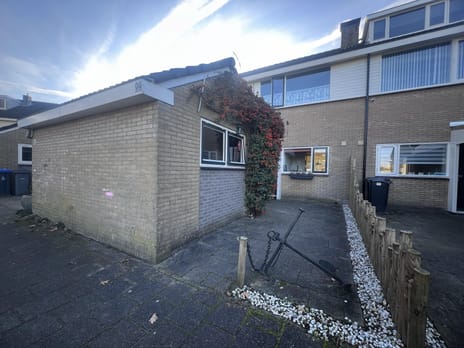 undefined main image