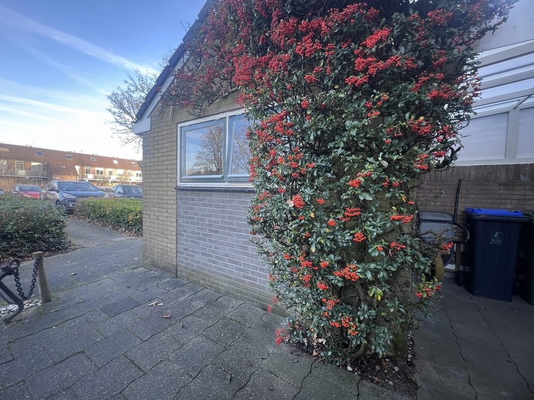 Foto 2 van Bernard van Beeklaan 99