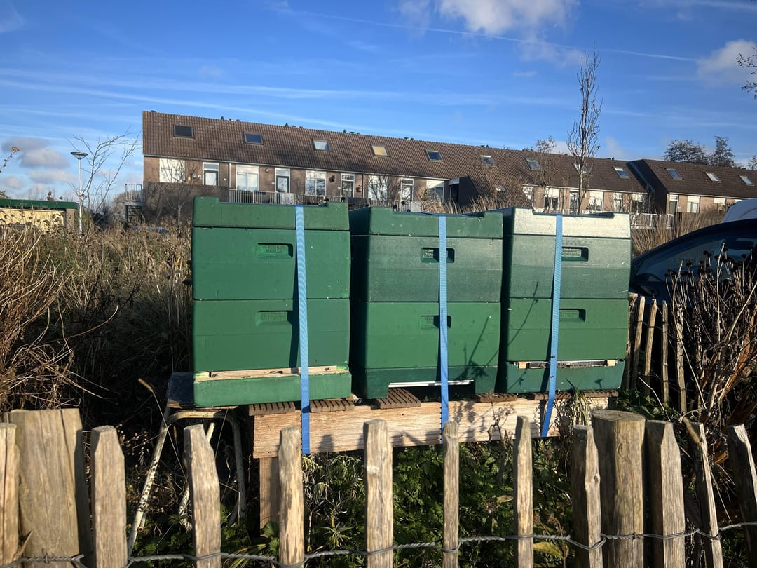 Foto 37 van Bernard van Beeklaan 99