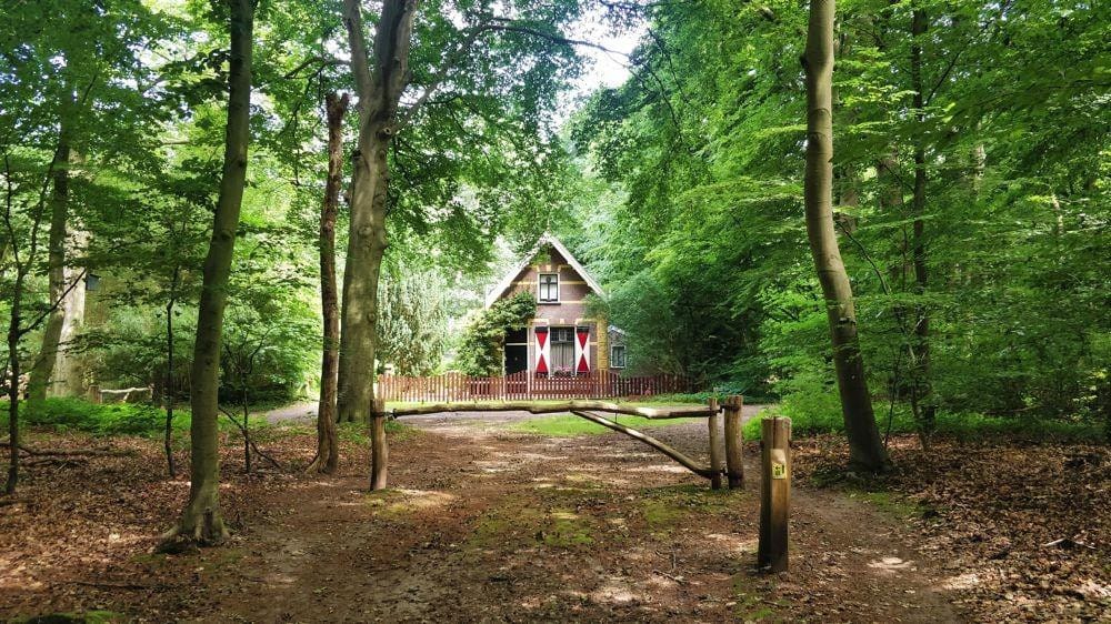 Foto 43 van Bernard van Beeklaan 99