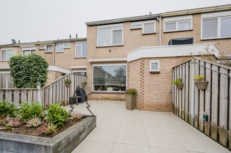 undefined main image