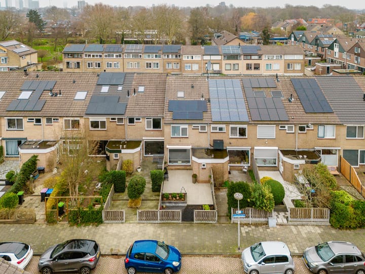 Foto 8 van Salamanderveen 302