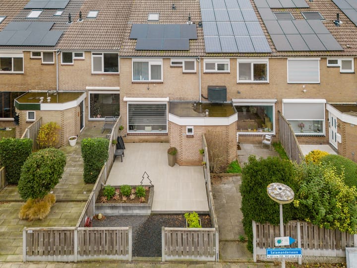 Foto 9 van Salamanderveen 302