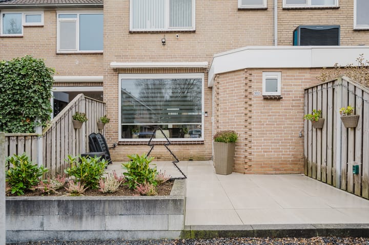 Foto 10 van Salamanderveen 302