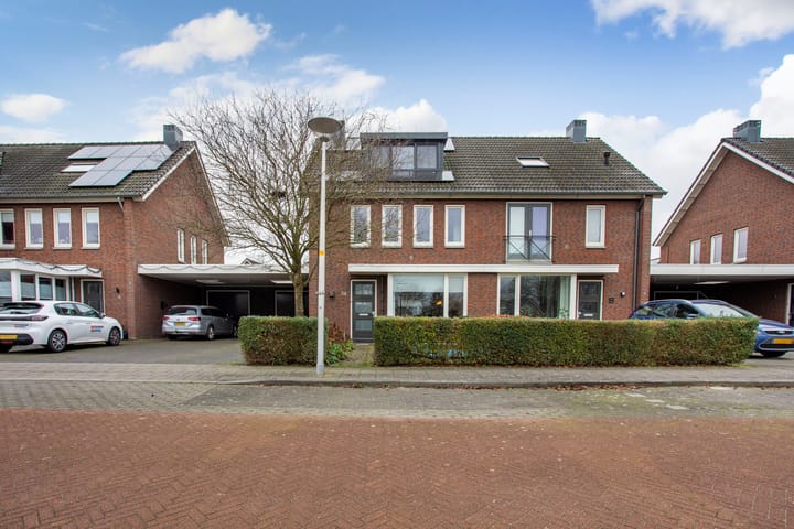 Foto 2 van Paardenbloem 74