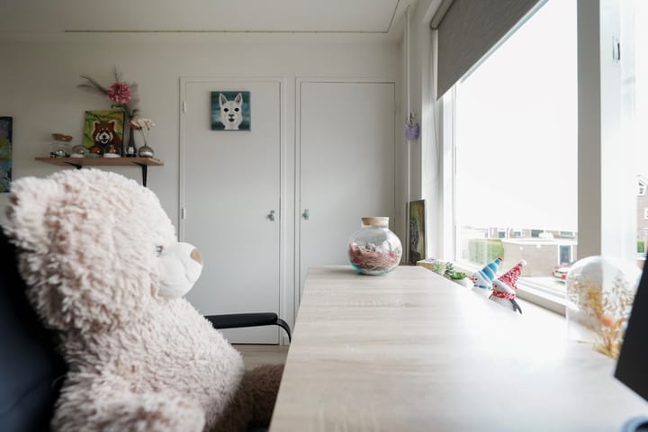 Foto 38 van van Goltsteinstraat 24