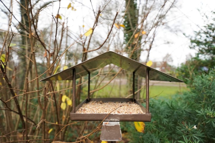 Foto 58 van van Goltsteinstraat 24