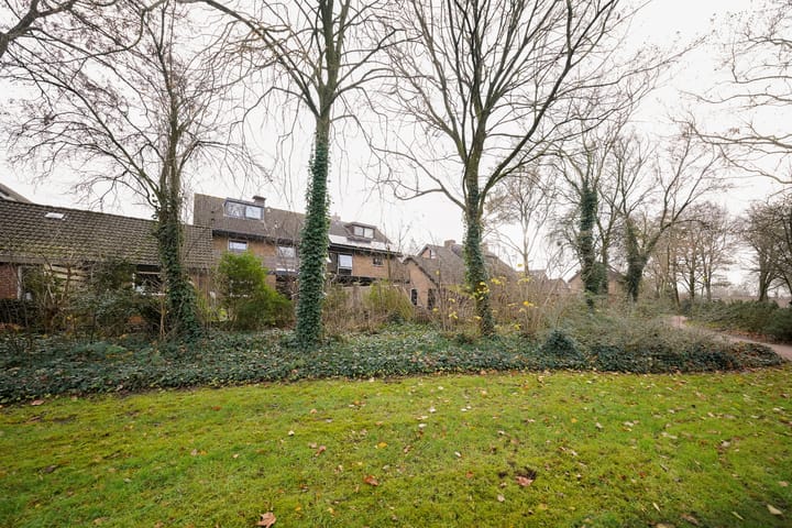 Foto 60 van van Goltsteinstraat 24