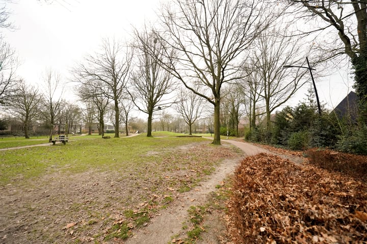 Foto 61 van van Goltsteinstraat 24