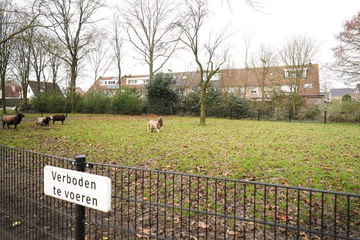 Foto 62 van van Goltsteinstraat 24