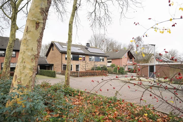 Foto 67 van van Goltsteinstraat 24