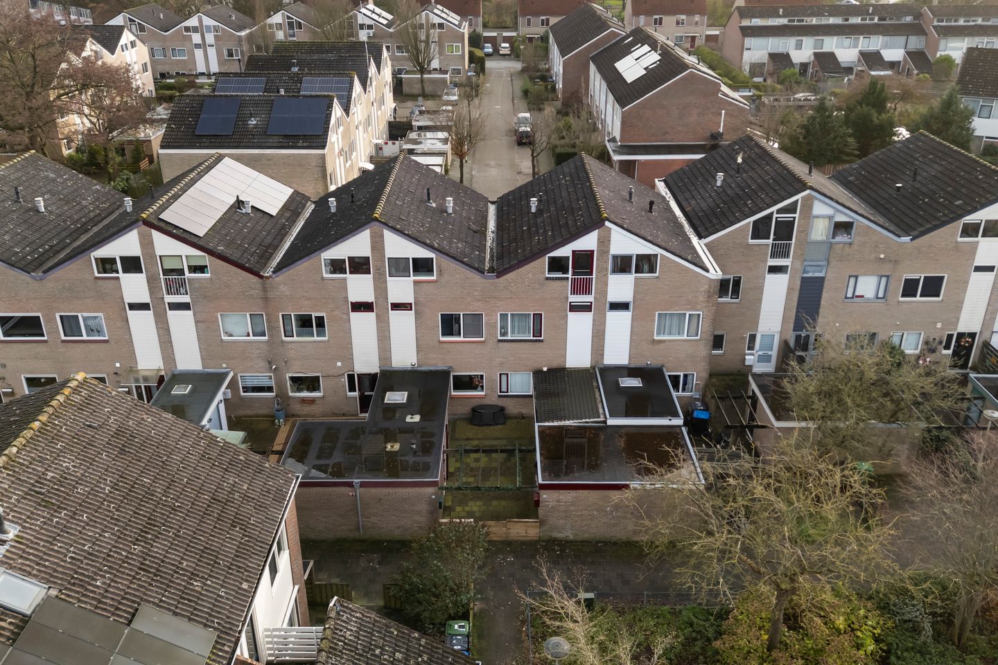 Photo 5 of Lenteklokje 97