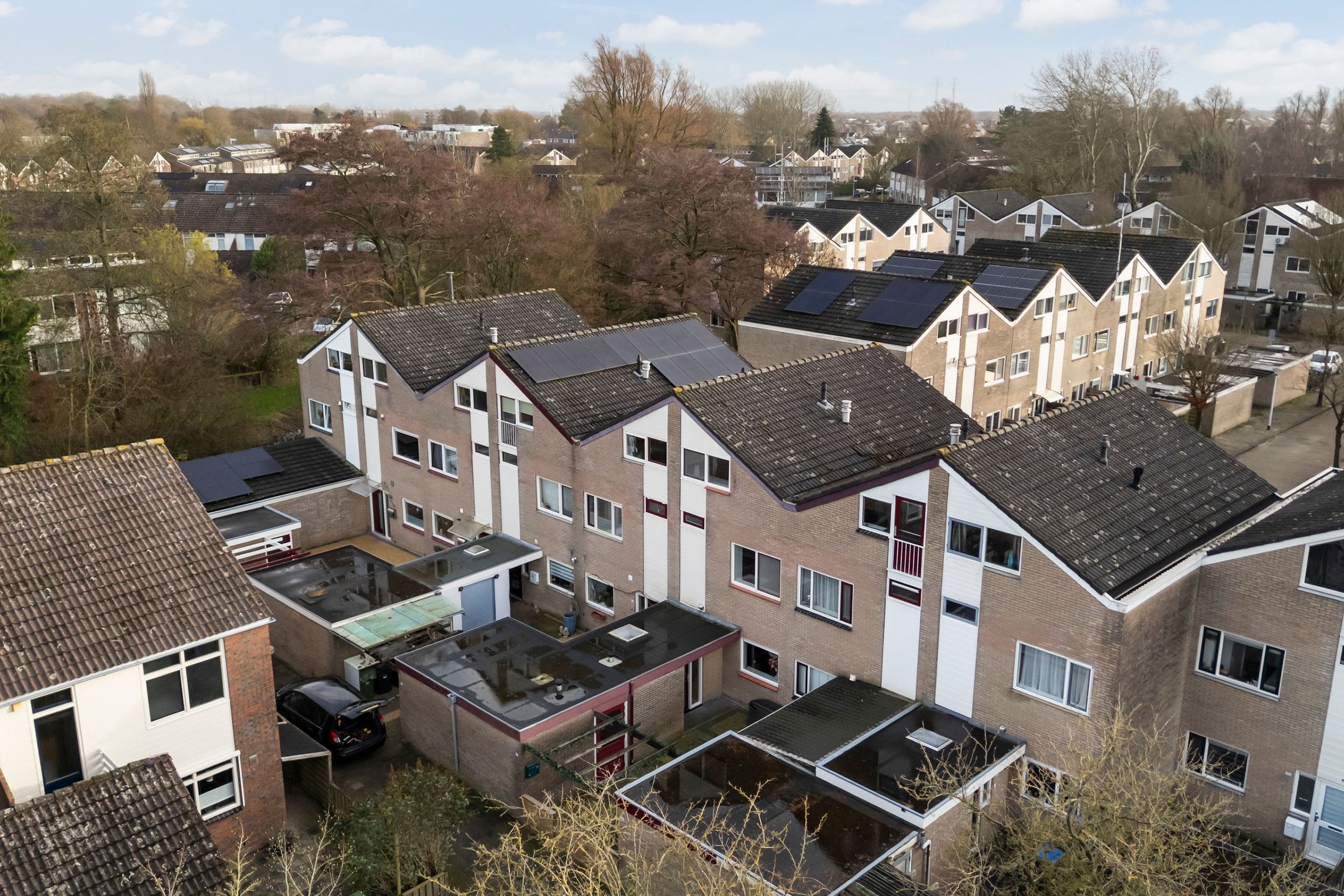 Photo 6 of Lenteklokje 97