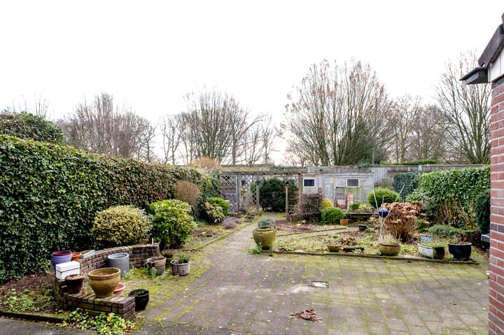 Foto 27 van Wolgastraat 66