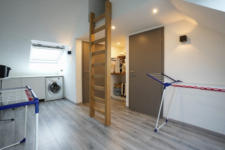 Photo 24 of Veldleeuwerik 39