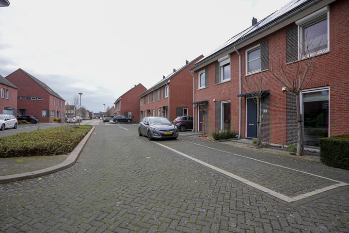 Photo 34 of Veldleeuwerik 39