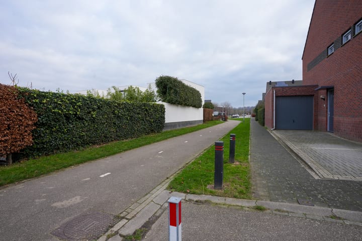 Photo 35 of Veldleeuwerik 39