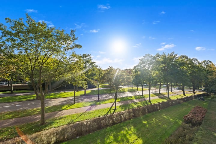 Foto 12 van Thomas Jeffersonlaan 415