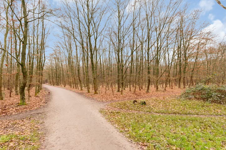 Foto 25 van C. Evertsenstraat 51