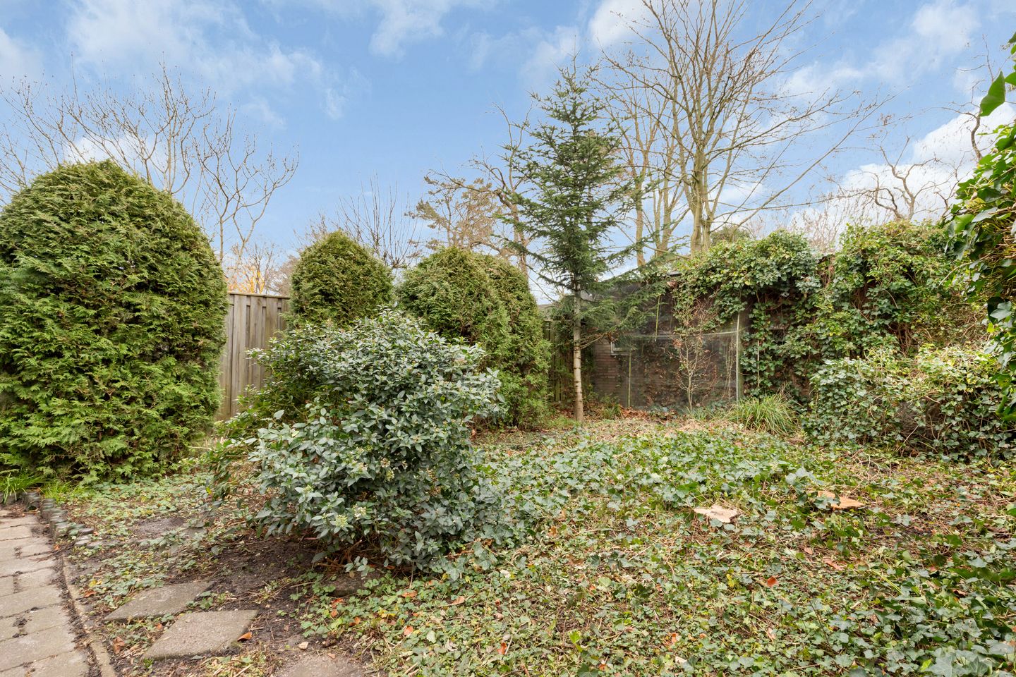 Foto 20 van C. Evertsenstraat 51