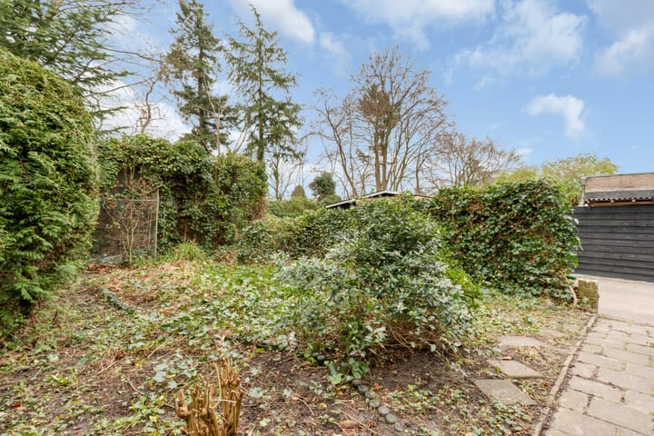 Foto 21 van C. Evertsenstraat 51