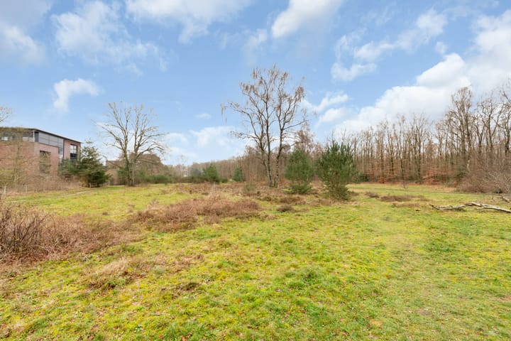 Foto 24 van C. Evertsenstraat 51