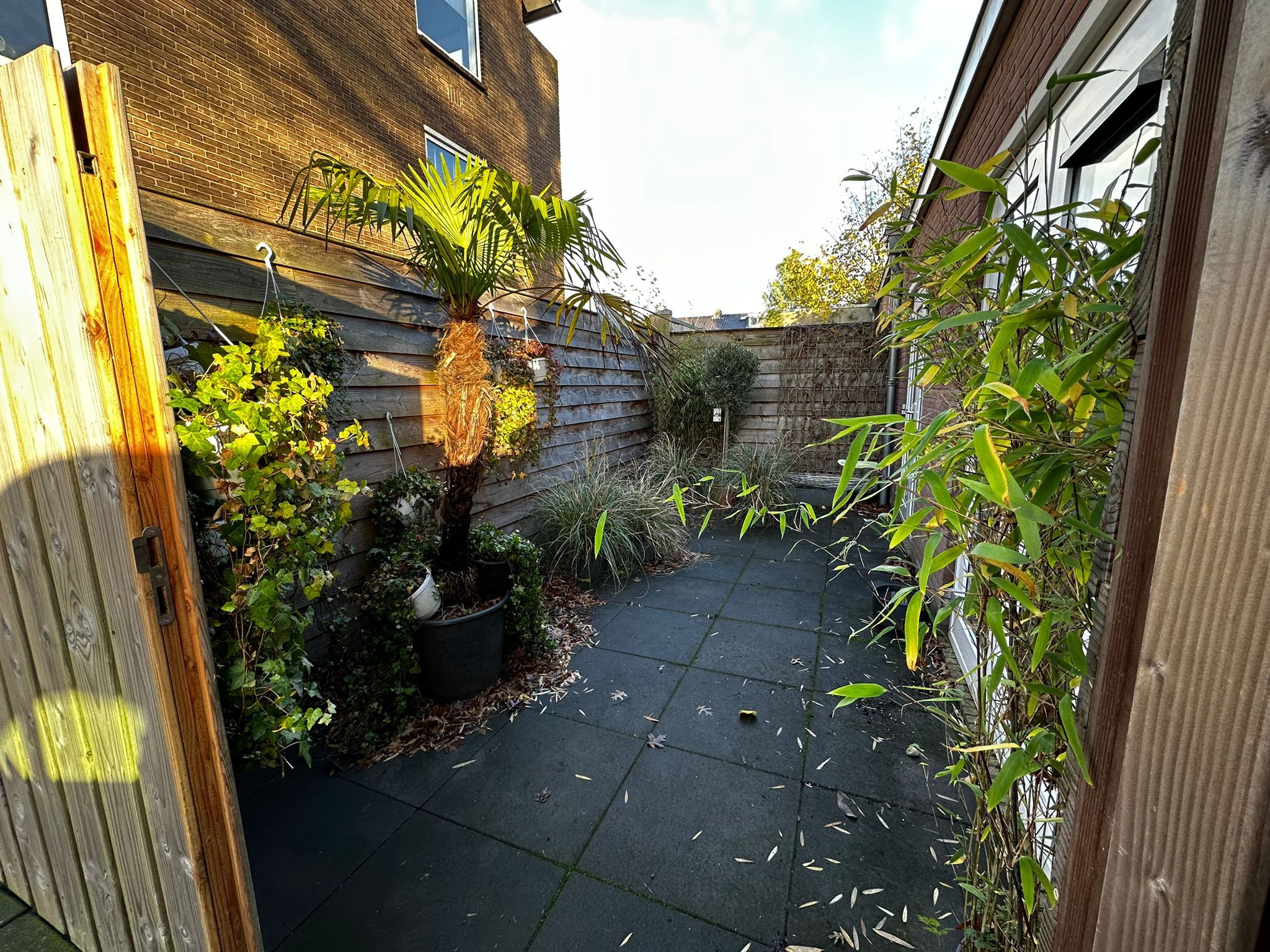 Photo 12 of Jacob van Campenlaan 106-A