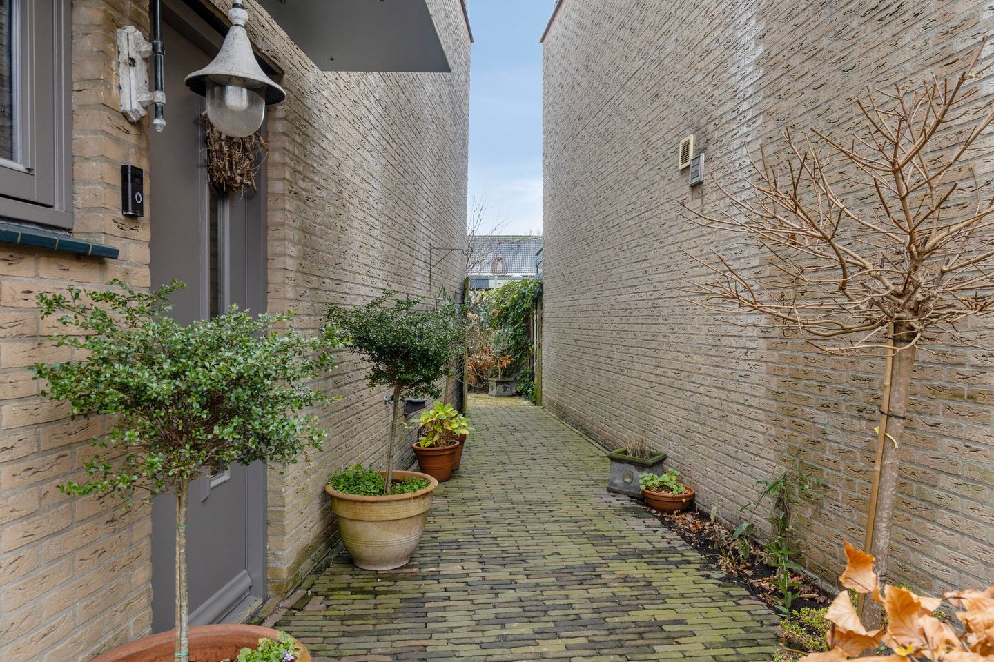 Foto 4 van Biesboschstraat 126