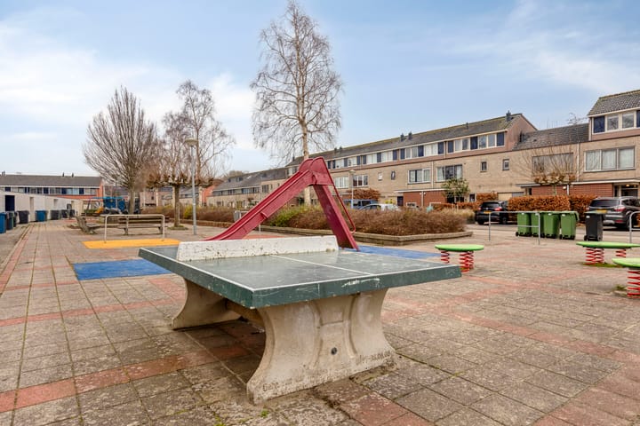 Foto 46 van Biesboschstraat 126