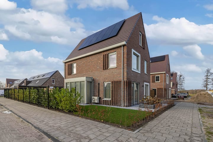 Foto 5 van Boterbloem 25