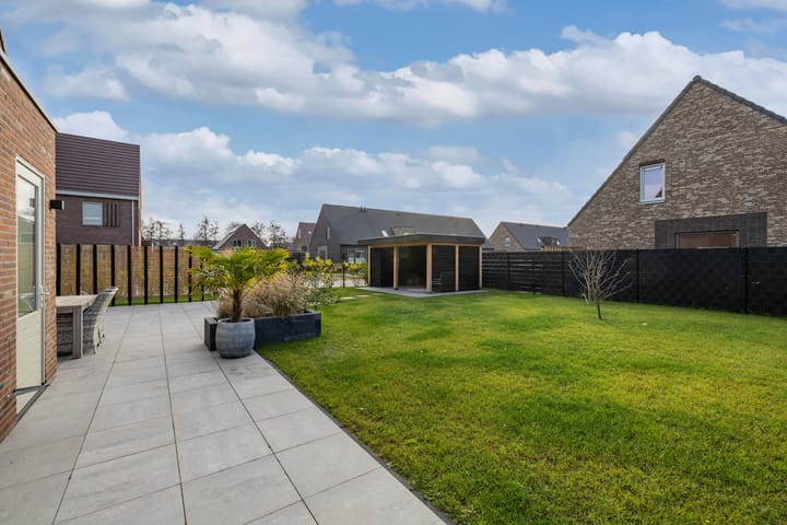 Foto 47 van Boterbloem 25