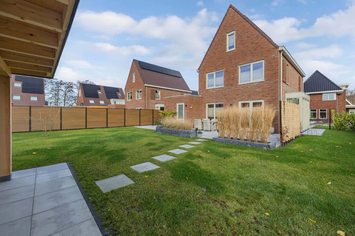 Foto 4 van Boterbloem 25