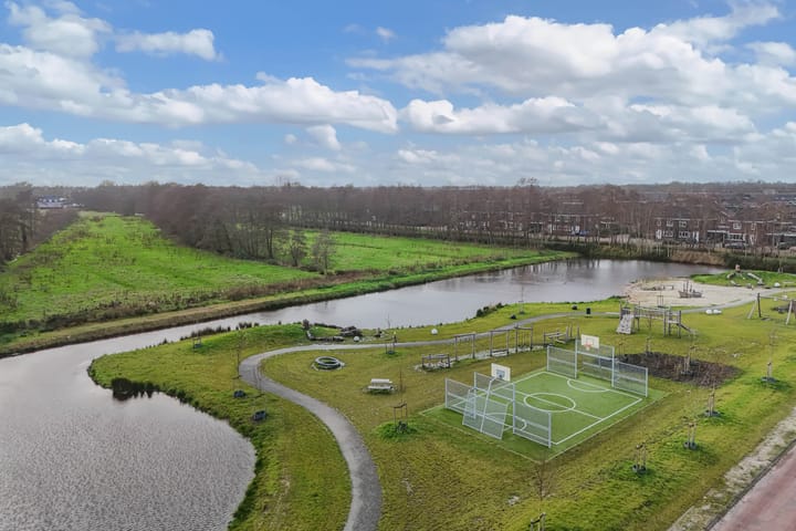 Foto 60 van Boterbloem 25