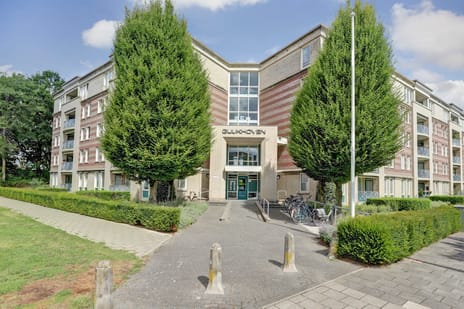 Gulikstraat thumbnail