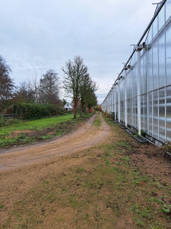 Photo 53 of Schrijversdijk 4-A