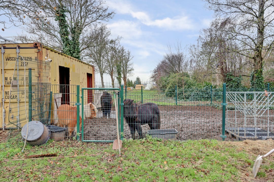 Photo 52 of Schrijversdijk 4-A