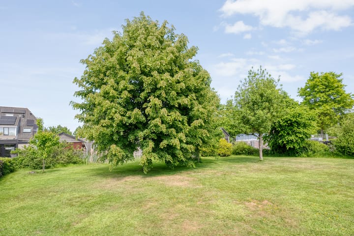 Photo 41 of Dorpsstraat 55