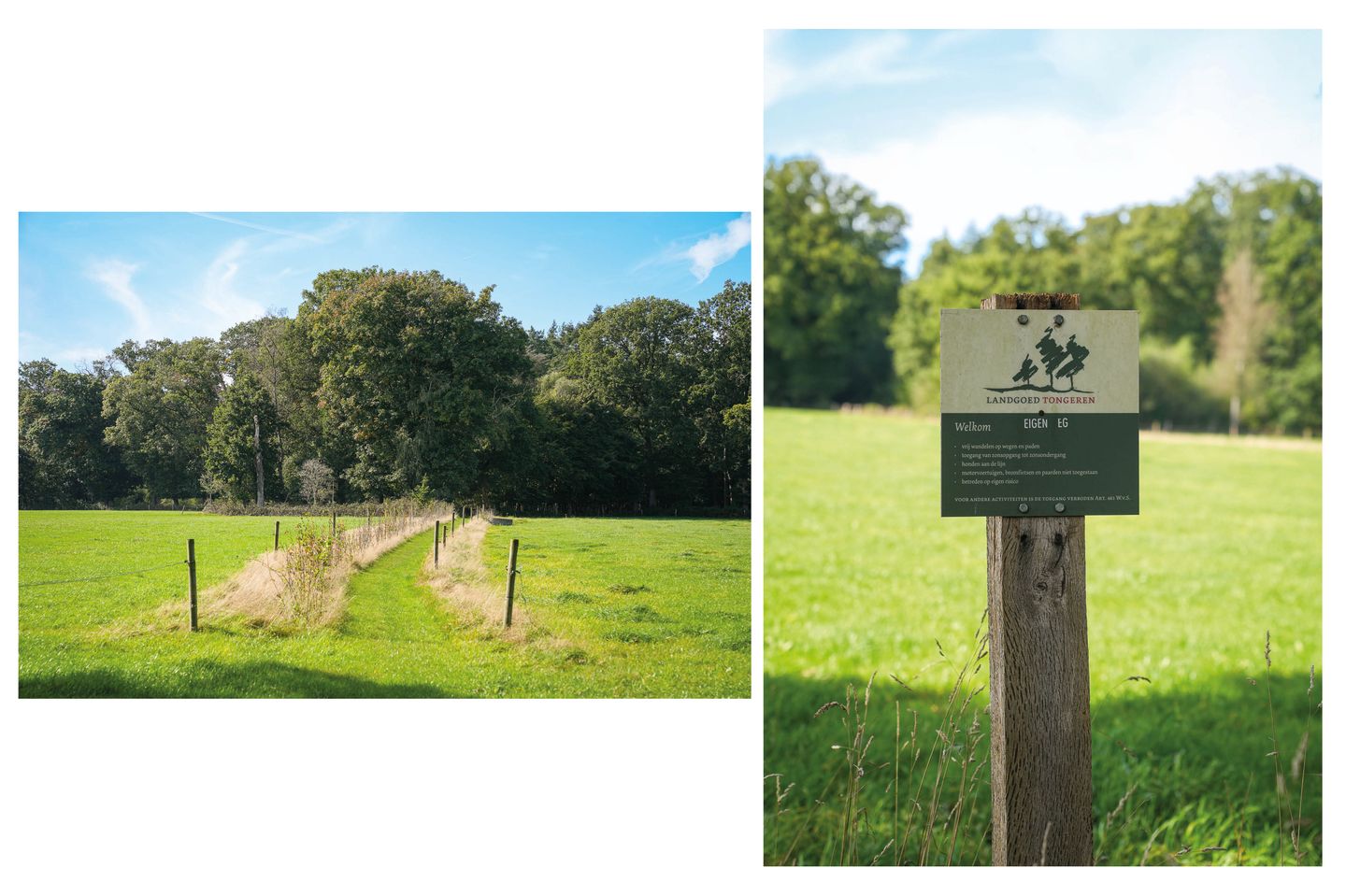 Foto 5 van Le Chevalierlaan 3-A